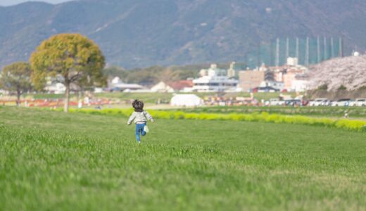 イヤイヤ期のど真ん中